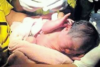 Indian-Stray-dog-rescuing-a-new-born-girl-child-from-street-dustbin-03