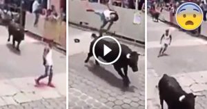 giant-bull-flips-young-man-10ft-into-the-air-facebook-thumbnail